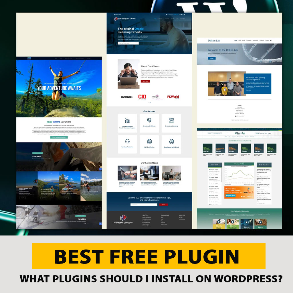 What Plugins Should I Install on WordPress