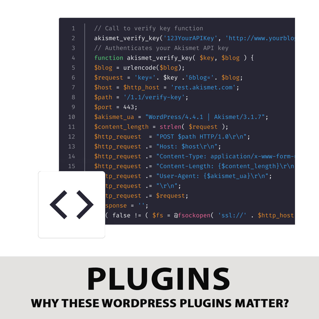 Why These WordPress Plugins Matter?