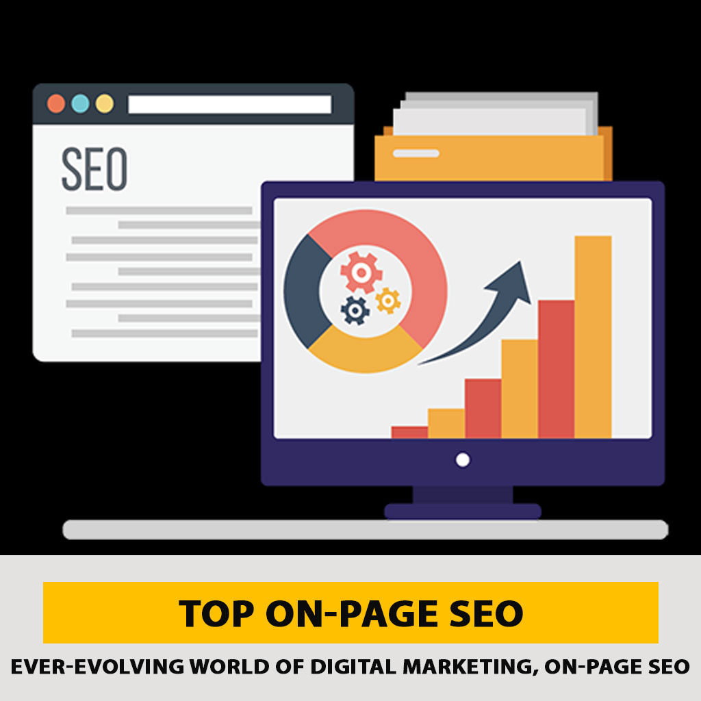 Best On-Page SEO Services Higher Ranking, More ROI in 2025