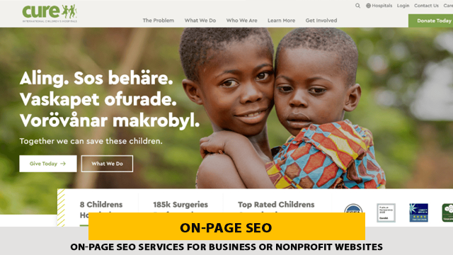 On-Page SEO Services for Business or Nonprofit Websites