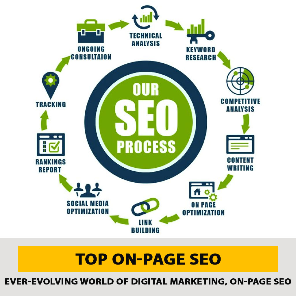 What Are On-Page SEO Services