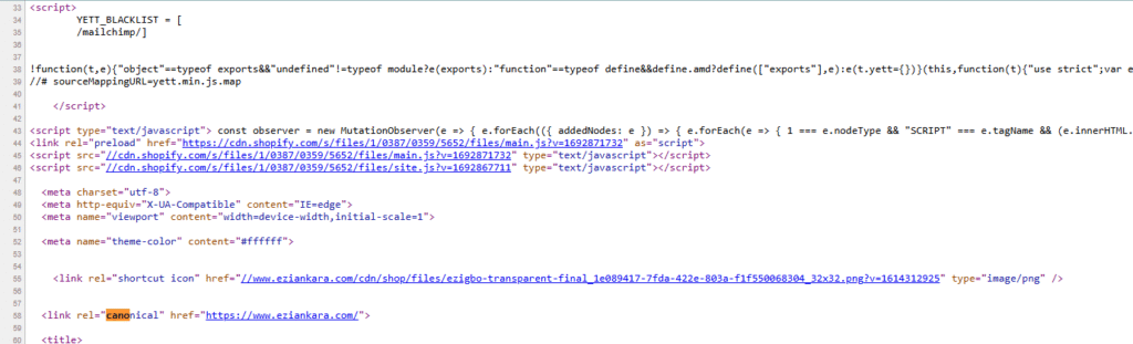 How Shopify Handles Canonical Tags by Default​